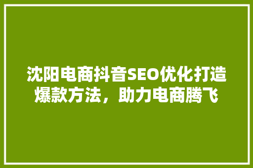 沈阳电商抖音SEO优化打造爆款方法，助力电商腾飞