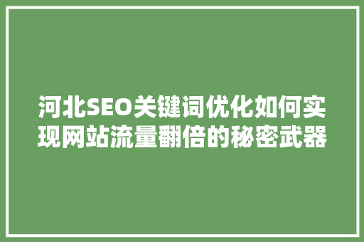 河北SEO关键词优化如何实现网站流量翻倍的秘密武器