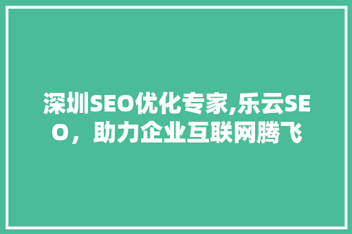 深圳SEO优化专家,乐云SEO，助力企业互联网腾飞