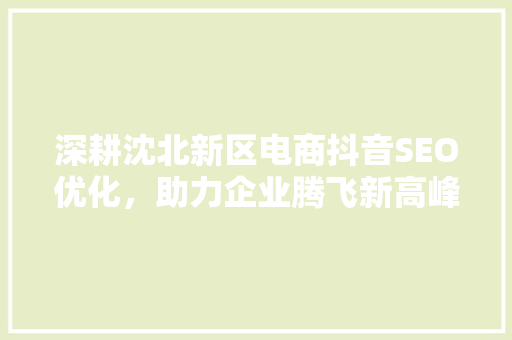 深耕沈北新区电商抖音SEO优化，助力企业腾飞新高峰