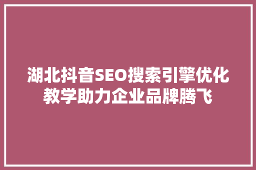 湖北抖音SEO搜索引擎优化教学助力企业品牌腾飞
