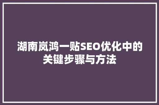 湖南岚鸿一贴SEO优化中的关键步骤与方法
