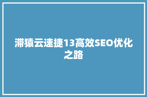 滞猿云速捷13高效SEO优化之路