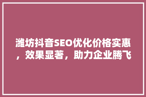 潍坊抖音SEO优化价格实惠，效果显著，助力企业腾飞