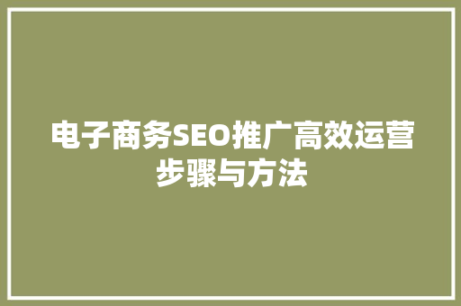 电子商务SEO推广高效运营步骤与方法