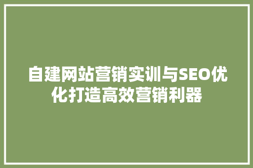自建网站营销实训与SEO优化打造高效营销利器