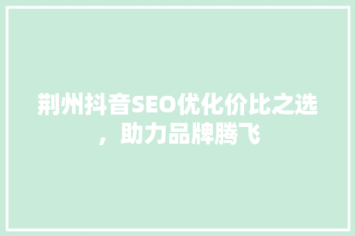荆州抖音SEO优化价比之选，助力品牌腾飞
