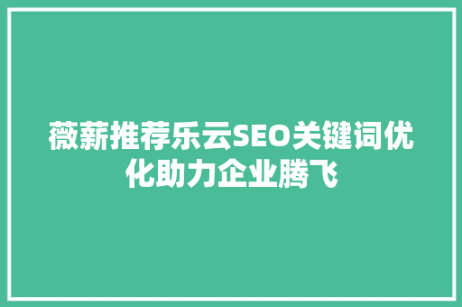 薇薪推荐乐云SEO关键词优化助力企业腾飞