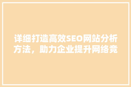 详细打造高效SEO网站分析方法，助力企业提升网络竞争力