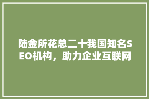 陆金所花总二十我国知名SEO机构，助力企业互联网营销新高度