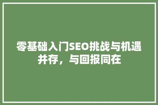 零基础入门SEO挑战与机遇并存，与回报同在