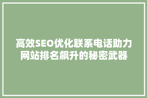 高效SEO优化联系电话助力网站排名飙升的秘密武器