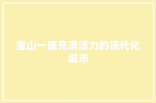宝山一座充满活力的现代化城市