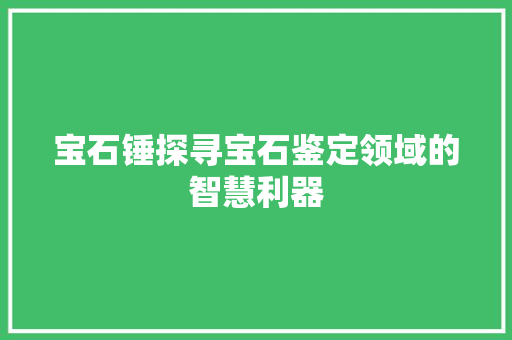 宝石锤探寻宝石鉴定领域的智慧利器