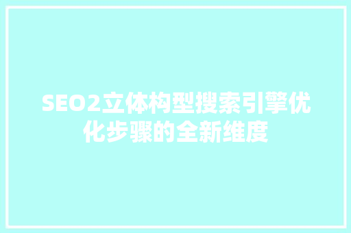 SEO2立体构型搜索引擎优化步骤的全新维度