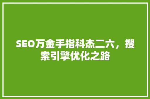 SEO万金手指科杰二六，搜索引擎优化之路
