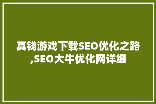 真钱游戏下载SEO优化之路,SEO大牛优化网详细