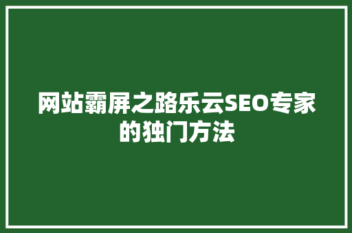 网站霸屏之路乐云SEO专家的独门方法  第1张
