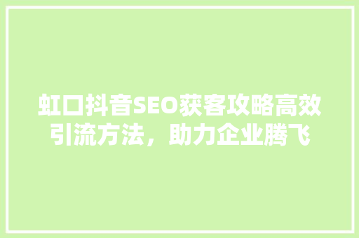虹口抖音SEO获客攻略高效引流方法，助力企业腾飞