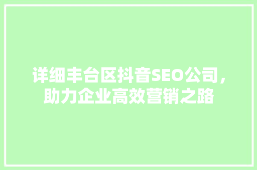 详细丰台区抖音SEO公司，助力企业高效营销之路