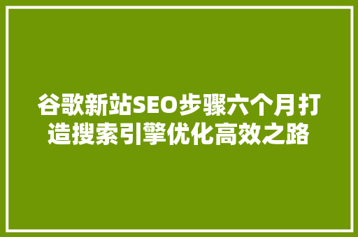 谷歌新站SEO步骤六个月打造搜索引擎优化高效之路