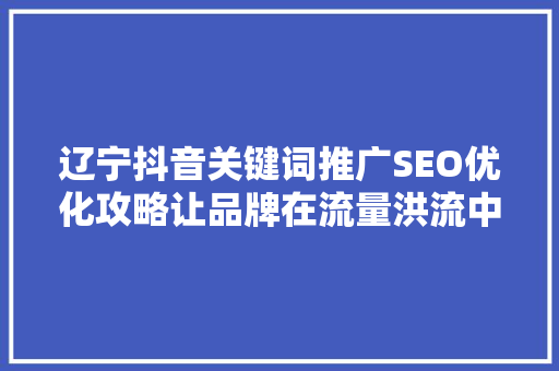 辽宁抖音关键词推广SEO优化攻略让品牌在流量洪流中脱颖而出
