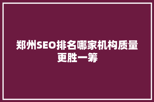 郑州SEO排名哪家机构质量更胜一筹