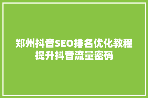 郑州抖音SEO排名优化教程提升抖音流量密码