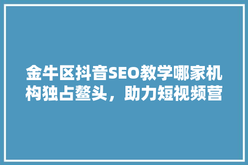 金牛区抖音SEO教学哪家机构独占鳌头，助力短视频营销腾飞