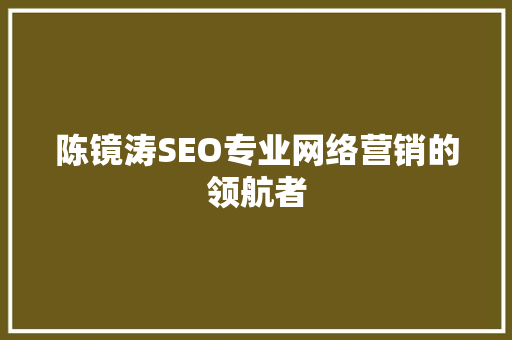 陈镜涛SEO专业网络营销的领航者