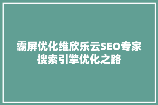 霸屏优化维欣乐云SEO专家搜索引擎优化之路