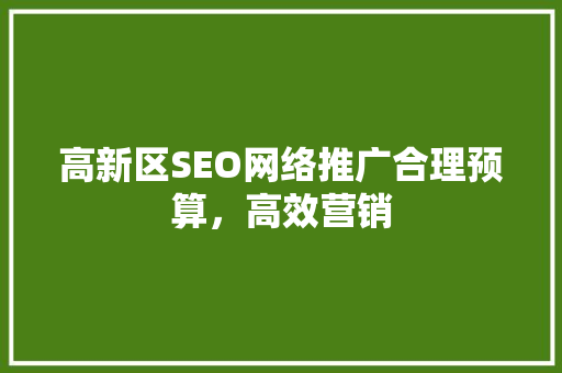 高新区SEO网络推广合理预算，高效营销