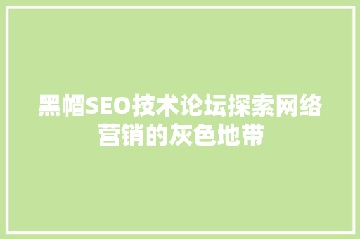 黑帽SEO技术论坛探索网络营销的灰色地带