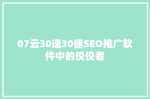 07云30速30捷SEO推广软件中的佼佼者