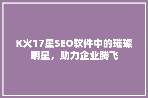 K火17星SEO软件中的璀璨明星，助力企业腾飞