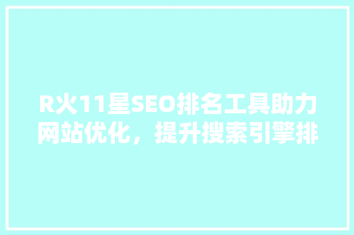 R火11星SEO排名工具助力网站优化，提升搜索引擎排名