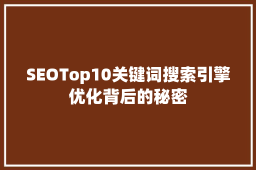 SEOTop10关键词搜索引擎优化背后的秘密