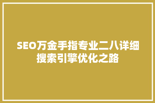 SEO万金手指专业二八详细搜索引擎优化之路