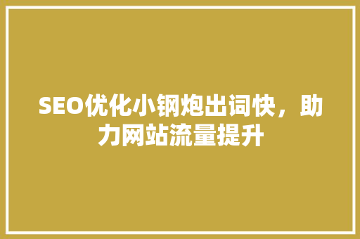 SEO优化小钢炮出词快，助力网站流量提升