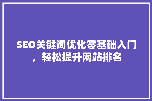 SEO关键词优化零基础入门，轻松提升网站排名