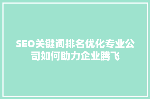 SEO关键词排名优化专业公司如何助力企业腾飞