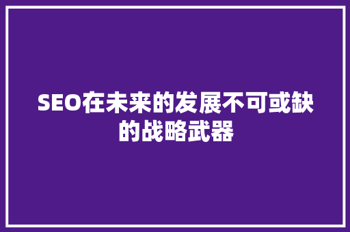 SEO在未来的发展不可或缺的战略武器