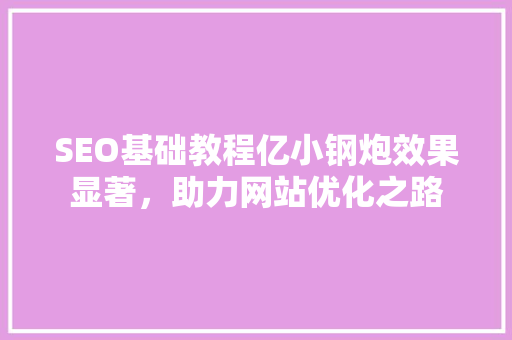 SEO基础教程亿小钢炮效果显著，助力网站优化之路