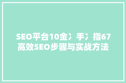 SEO平台10金冫手冫指67高效SEO步骤与实战方法