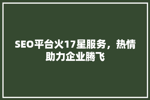 SEO平台火17星服务，热情助力企业腾飞