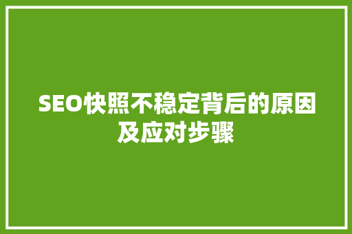 SEO快照不稳定背后的原因及应对步骤  第1张