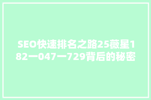 SEO快速排名之路25薇星182一047一729背后的秘密