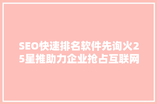 SEO快速排名软件先询火25星推助力企业抢占互联网高地  第1张