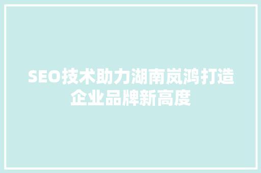 SEO技术助力湖南岚鸿打造企业品牌新高度