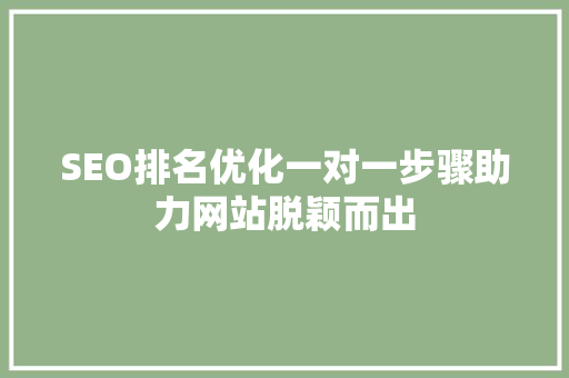 SEO排名优化一对一步骤助力网站脱颖而出